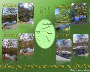 Wieslawa Makac Kolaz W PowerPoint